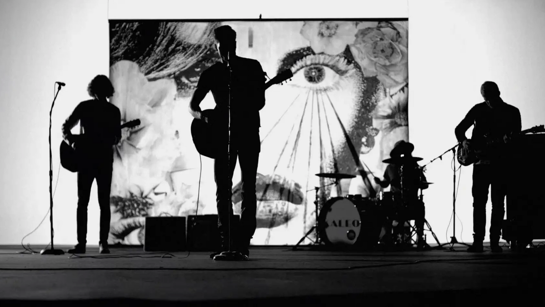 Kaleo - "Way Down We Go"